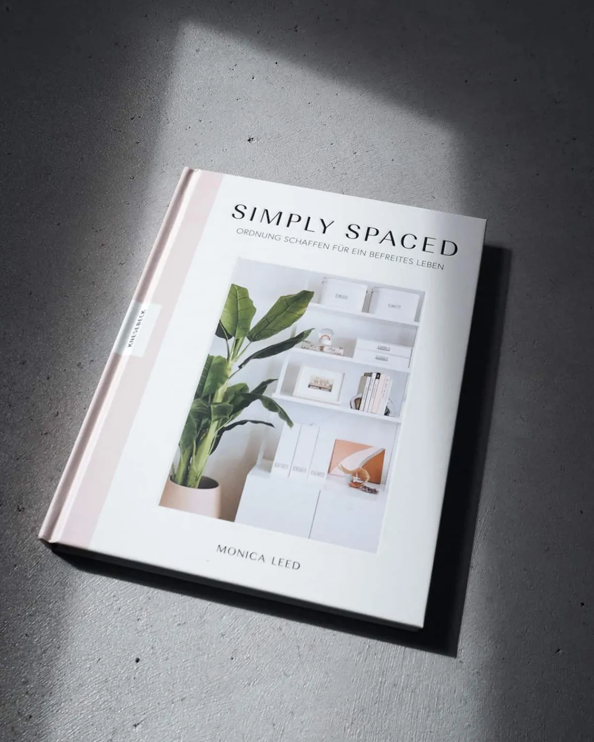 Store JAN 'N JUNE SIMPLY SPACED BOOK